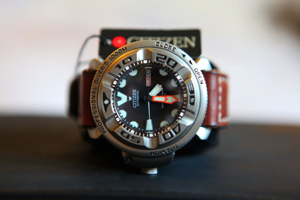 citizen promaster 1000m titanium